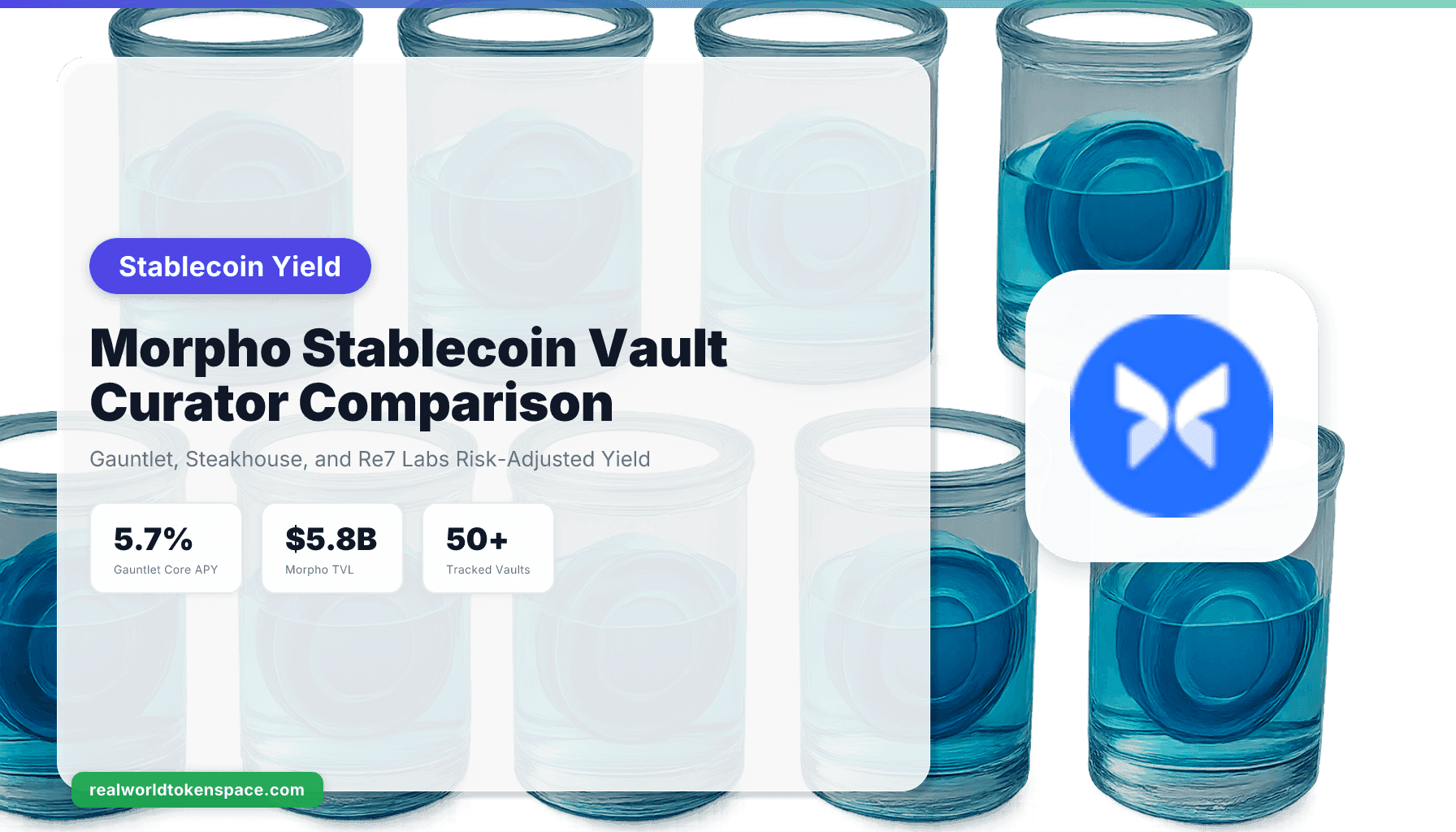 Lợi suất stablecoin từ Morpho Vault: So sánh curator Gauntlet với Steakhouse 2026 | RealWorldTokenSpace